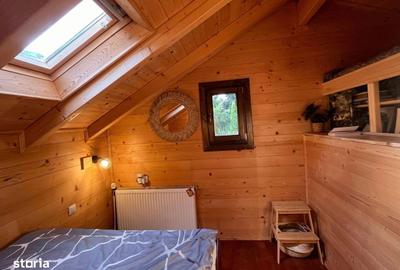 Casă cu 3 camere în Ciucea - 9