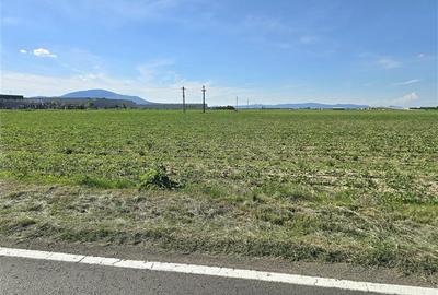Teren Construcții extravilan de 18000 mp, în Periferie - 6