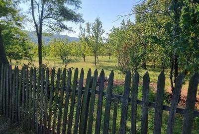 Teren de 2500 mp, în Măneciu - 1