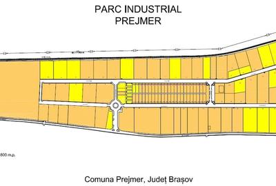 Teren Construcții intravilan de 9037 mp, în Prejmer - 3