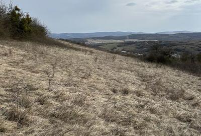 Teren de 5900 mp, în Central - 2