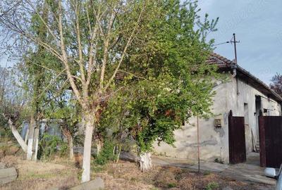 Casa tradi?ionala cu teren grneros - 1