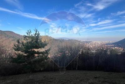 Teren de 17684 mp, în Schei