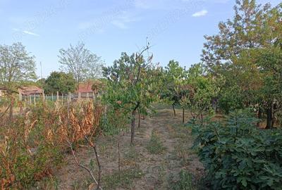 Casa cu curte si gradina - zona linistita si frumoasa - 1