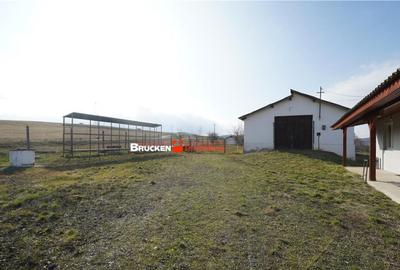MICRO-FERMA CASA IN VOIVOZI - BIHOR - 9