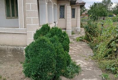 Casă cu 4 camere în Fulga - 5