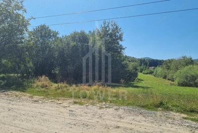 EXCLUSIVITATE! Teren la ?oseaua principala | Tocile - 3