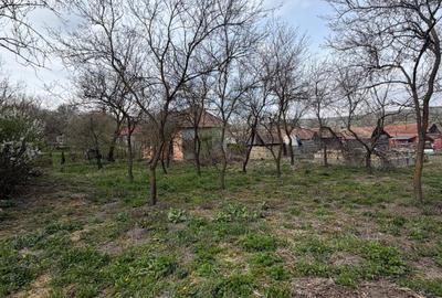 Casă individuală cu 2 camere cu Canalizare în Feiurdeni - 2