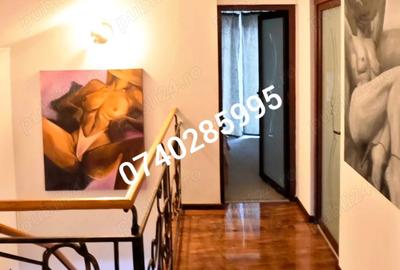 Casă cu 7 camere în Făget - 8