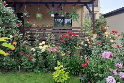 Vanzare casa Chiajna Ilfov - 4