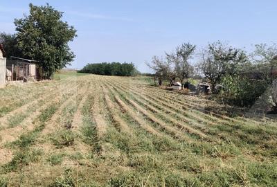 Teren de 2707 mp, în Belinț