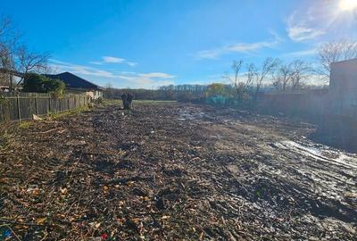 Teren de vanzare Snagov - 2