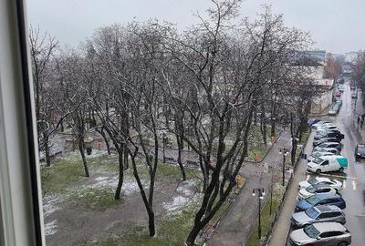 Apartament cu 3 camere decomandat în Est - 6