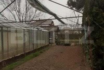 Vila 6 camere, Pucioasa - 3