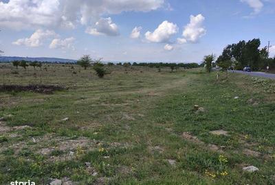 Teren de 39099 mp, în Șimian - 4