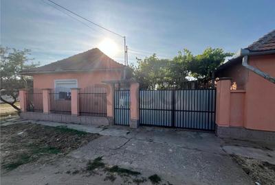 Casă cu 4 camere cu Teren 1439 Mp în Sălard - 2