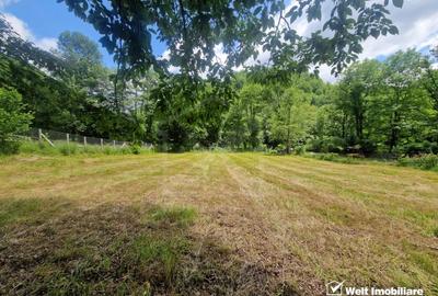 Teren plat, autorizatie de constructie+proiect  pe Valea Somesului Cald - 3