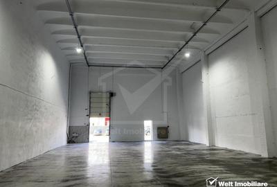 Hala depozitare 285mp, zona Petrom Baciu, acces TIR - 2