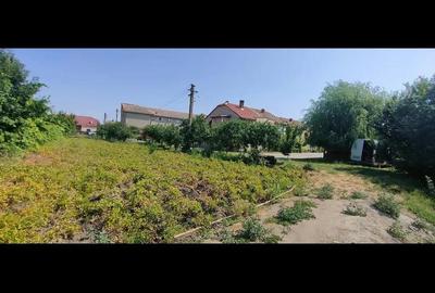 Teren de 2800 mp, în Lovrin - 1