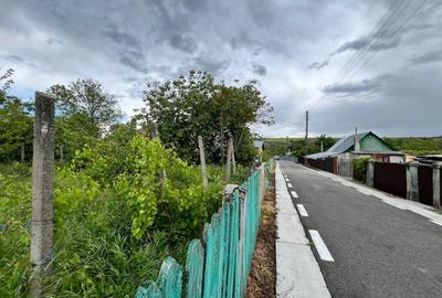 Casa + teren 4430 mp, vie si pomi fructiferi, 22 km de Tecuci - 28