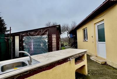 Casă individuală cu 4 camere cu Canalizare în Viile Noi - 6