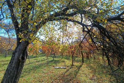 Casă cu 2 camere decomandat în Oeștii Ungureni - 5