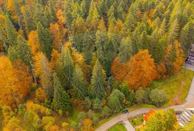 Comision 0 | Teren intravilan de vanzare Predeal, Bra?ov 908 mp - 3