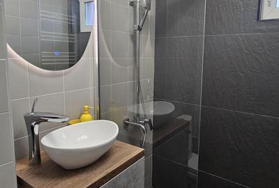 Apartament 2 camere Lux langa Parcul Moghioros - 8