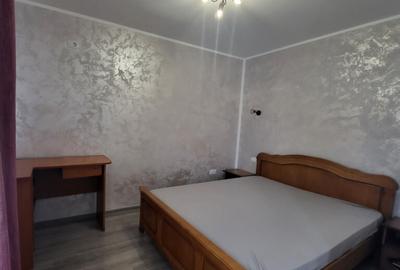 Casa individuala de inchiriat | 4 camere | Valea Adanca - 27