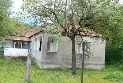 Casă cu 4 camere cu Teren 5574 Mp în Vulcăneasa - 7
