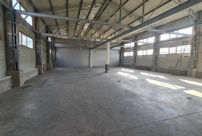 Hala Depozitare | Spatiu Industrial | Zona strazii Oasului - 3