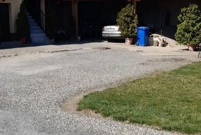 Casă cu 9 camere în Turnișor - 3