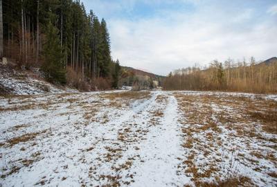 Teren intravilan de 49000 mp, în Borca - 15