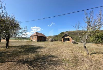 Teren intravilan de vanzare 14000mp,ideal pentru investitie, - 3