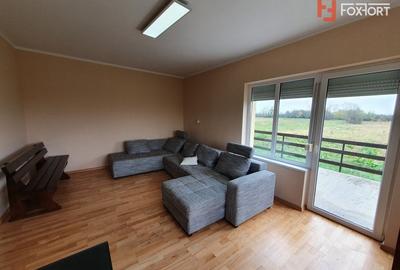 Casa cu 5 camere, 236 mp, teren 5805 mp, gaz, Brestea - Denta - 19