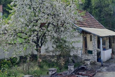 Casă cu 3 camere în Gurasada - 3