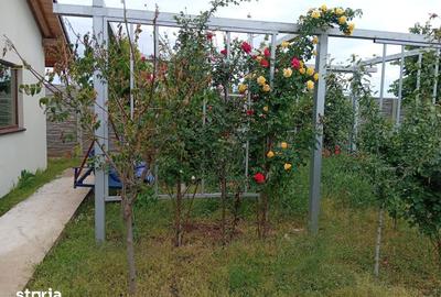 Casă cu 2 camere cu Teren 506 Mp în Bujac - 5