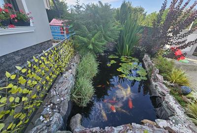 Casă cu 3 camere cu Teren 500 Mp în Valea Adâncă - 2