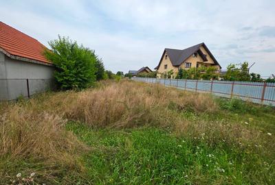 Teren Construcții intravilan de 2700 mp, în Dumbrava Roșie - 1