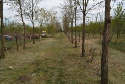 Teren în Gheorghe Lazăr - 7