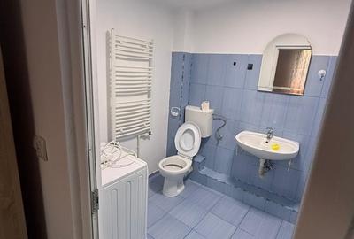 Salaj, Complex, Lidl, Parc Humulesti, in vila - 5