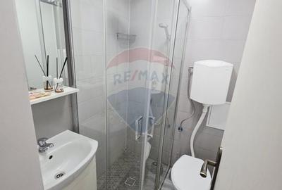 Apartament cu 1 camere de vanzare in zona 1 Mai - 7