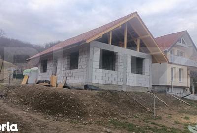 Casă cu 2 camere cu Teren 2100 Mp în Sântana de Mureș - 2