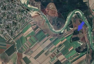 Teren / Padure 8ha Lunca Siretului. - 2