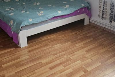 Apartament cu 2 camere semidecomandat în Uric - 2