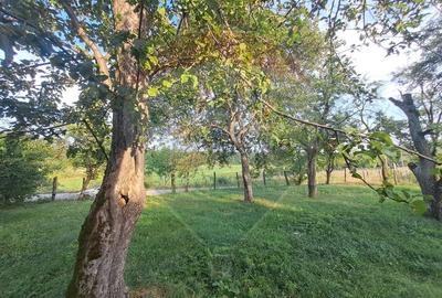 Casă individuală cu 3 camere cu Teren 2000 Mp în Runcu - 9