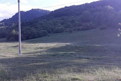 Teren de 10000 mp, în Cheia - 2