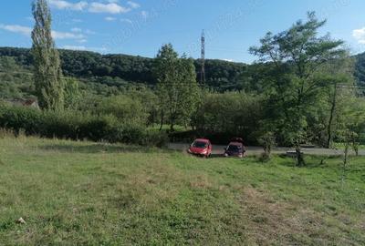Teren de 6000 mp, în Bobâlna - 1