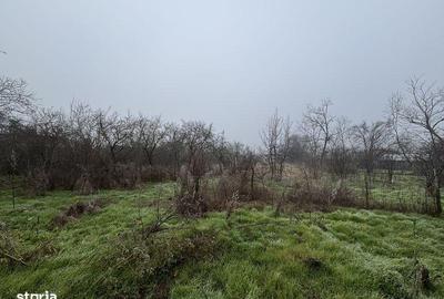 Teren de 2461 mp, în Sârbeni - 8