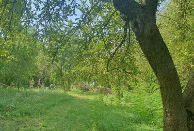 Teren de 4000 mp, în Izvoarele - 8